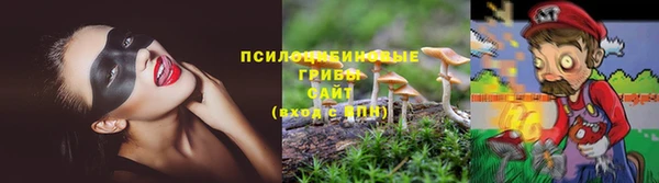 шишки Абдулино