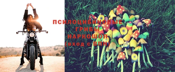 метадон Абаза