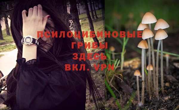 метадон Абаза