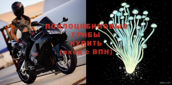гашик Абинск