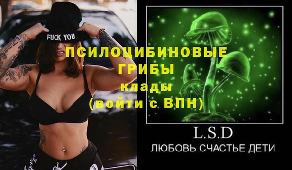 гашик Абинск