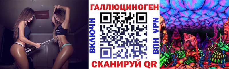 Галлюциногенные грибы Psilocybe  Липецк 